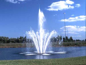 catalina floating lake fountain